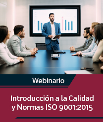 Webinario 9001